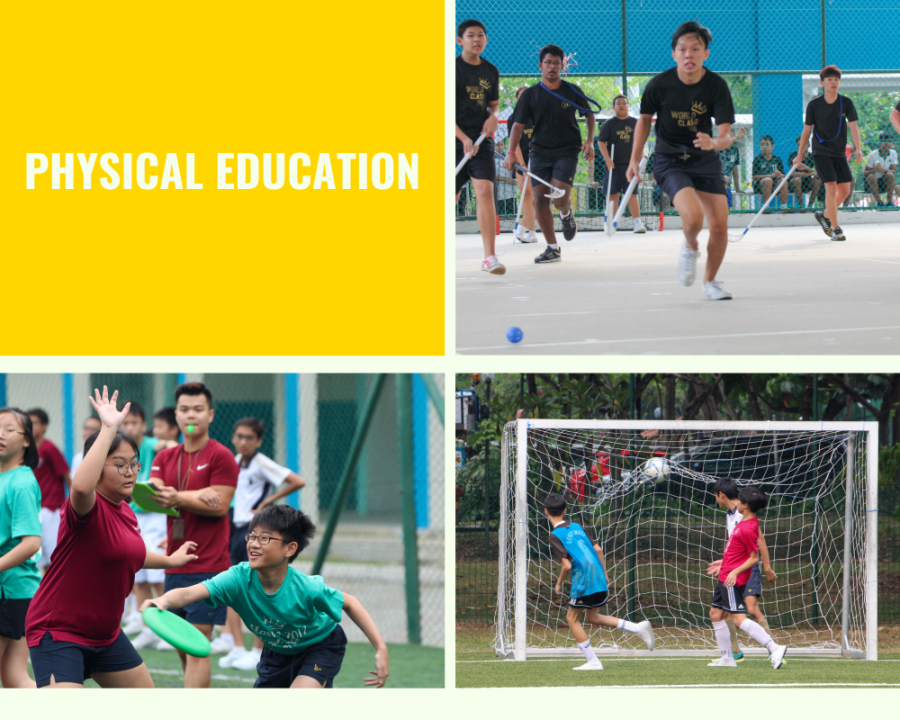 Physical Education Department Overview