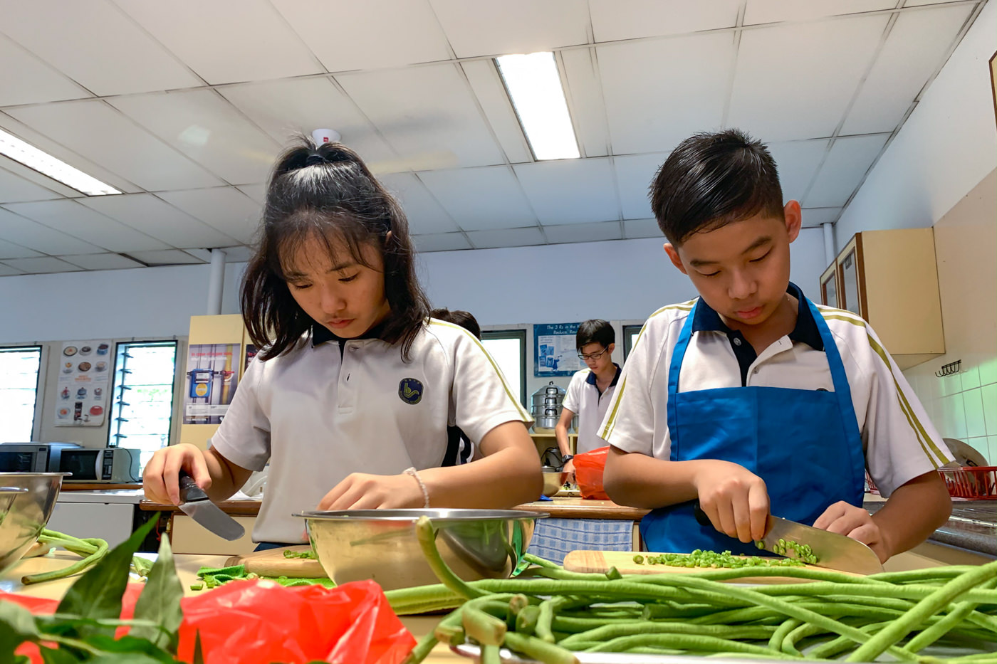 Upper Secondary: Nutrition and Food Science